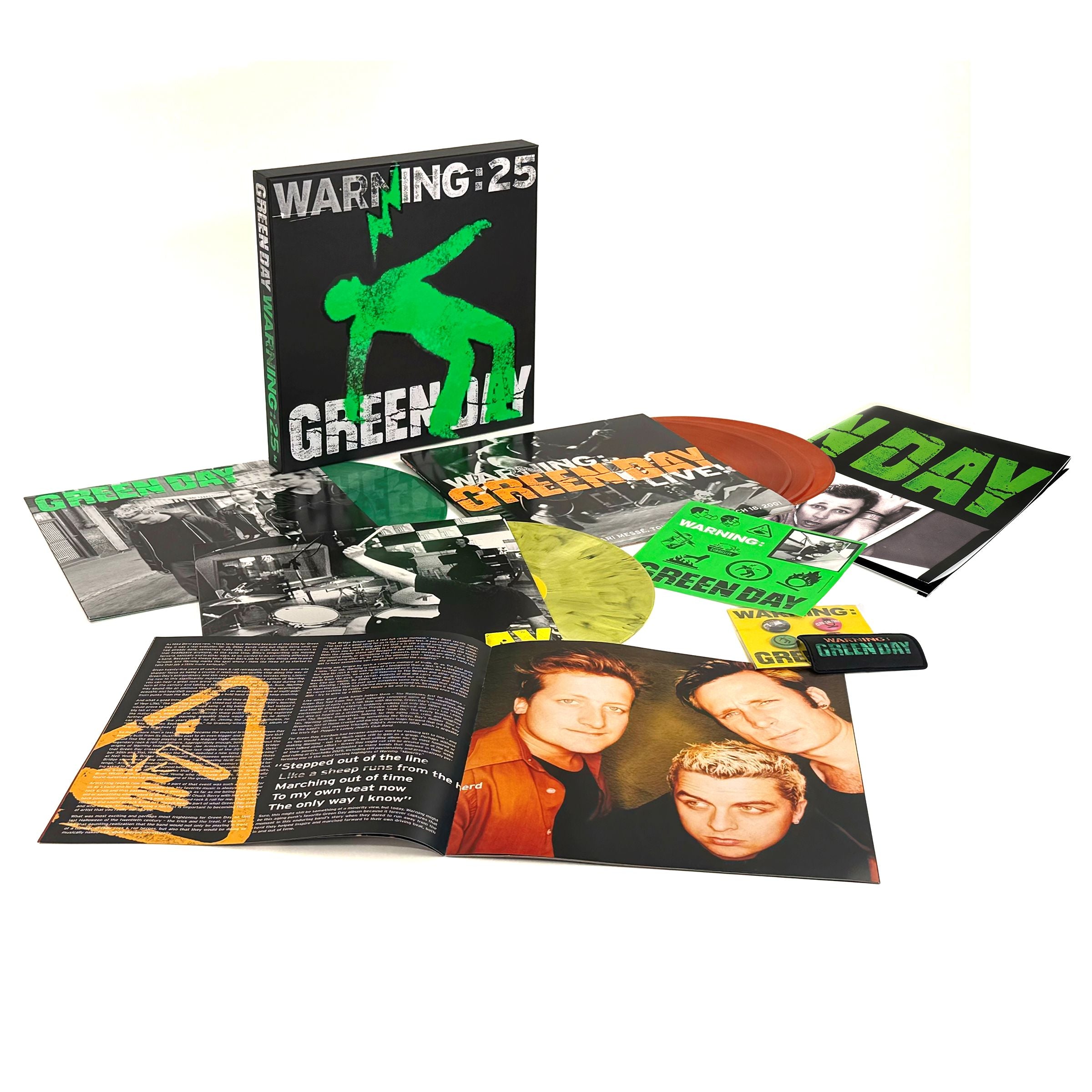 GREEN DAY WARNING グリーンデイ　アナログ　レコード LP GREEN DAY WARNING グリーンデイ アナログ レコード LP Green