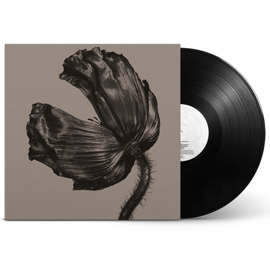 Pet Shop Boys - Release